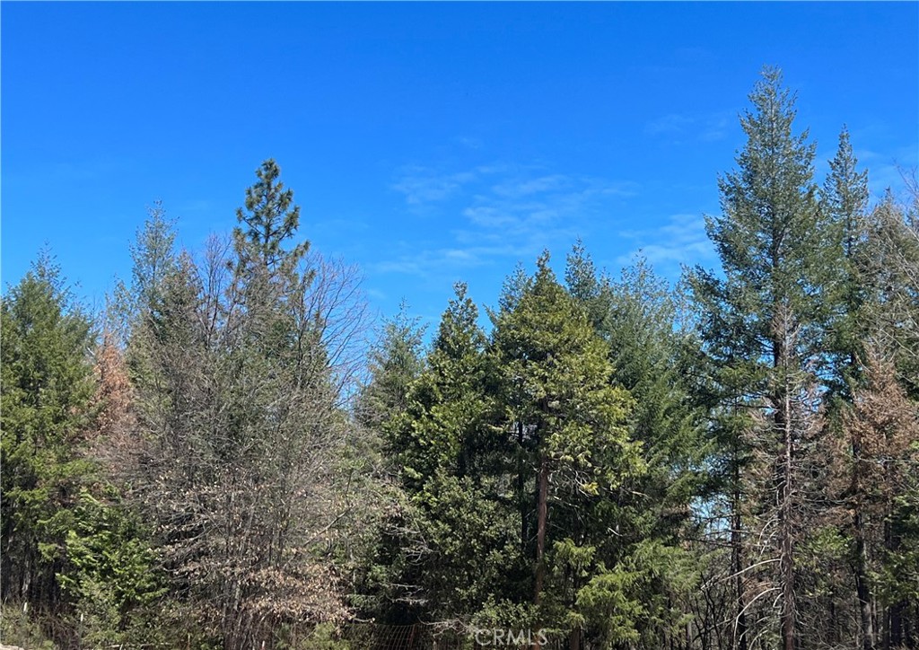 0 Mann & Nolta Ridge Road Chico, CA 95973 - Photo 1 of 1 Gallery Image 1