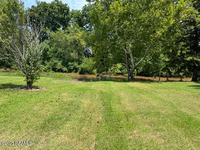 1022 Cotton Patch Road Bunkie, LA 71322 - Photo 5 of 8