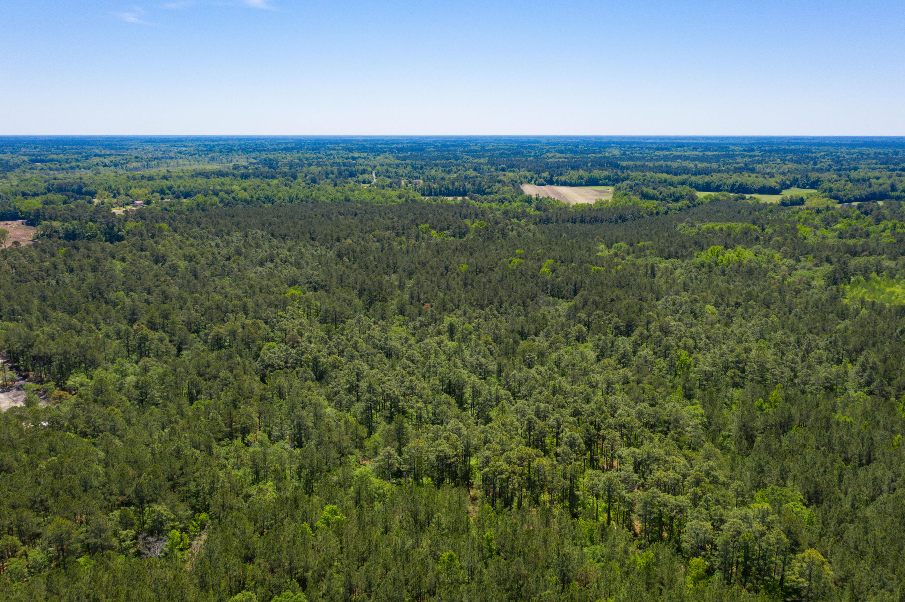 5 Old Spell Road, Unit 5 St. George, SC 29477 - Photo 12 of 27 EYE-9357