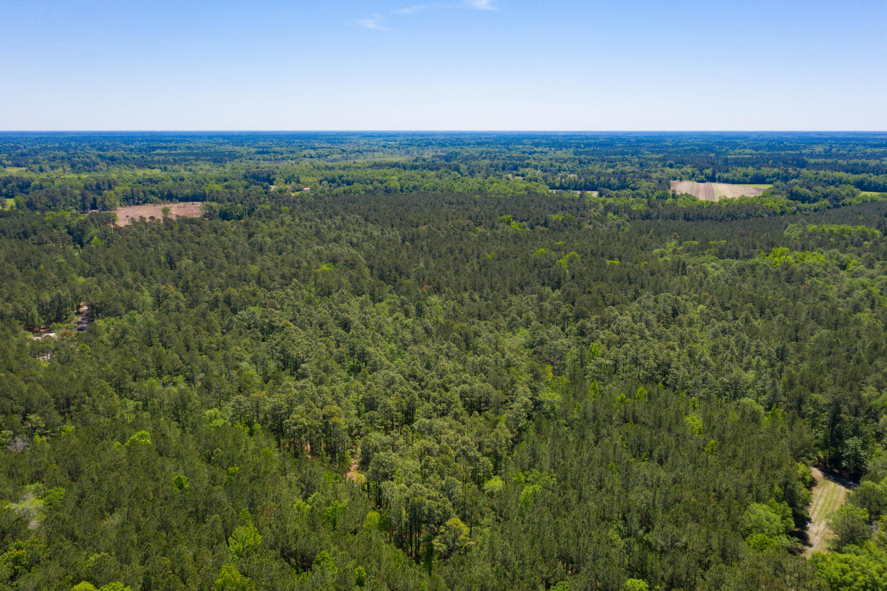 5 Old Spell Road, Unit 5 St. George, SC 29477 - Photo 13 of 27 EYE-9358