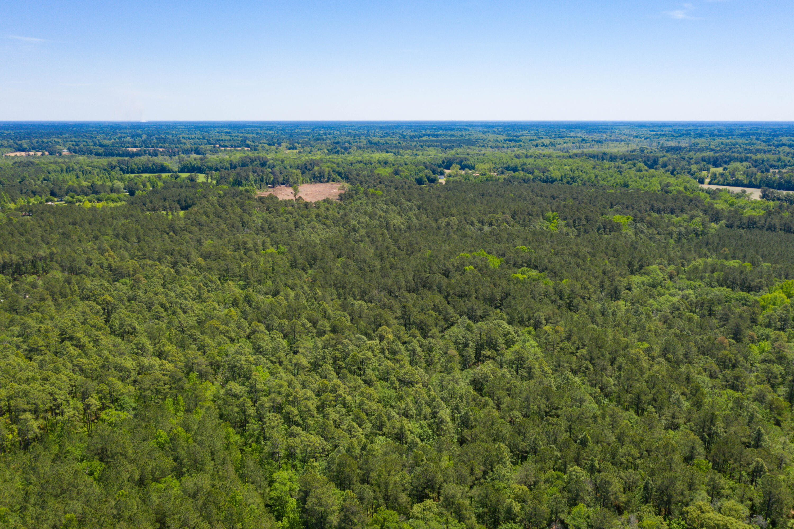 5 Old Spell Road, Unit 5 St. George, SC 29477 - Photo 14 of 27 EYE-9359