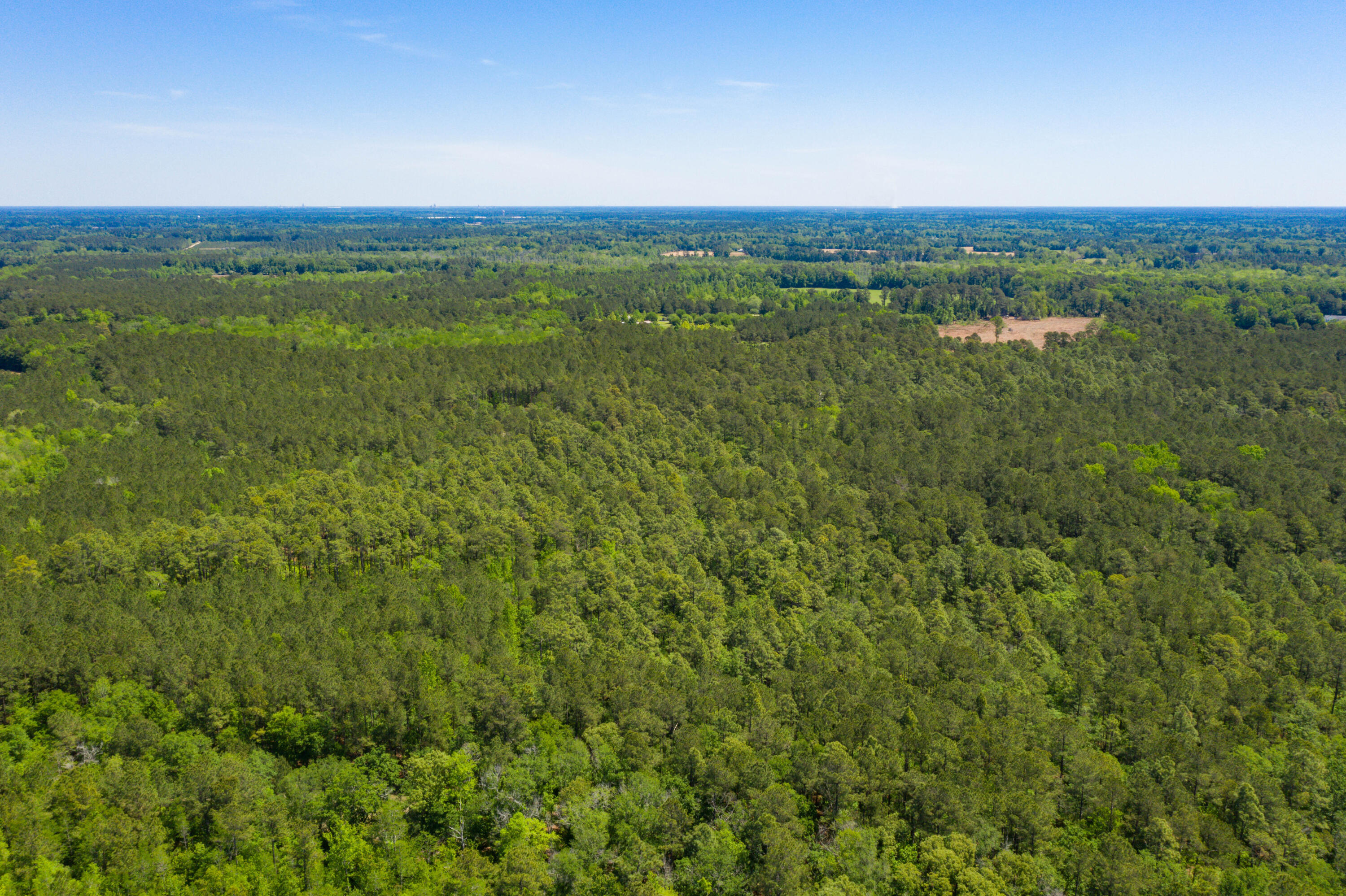 5 Old Spell Road, Unit 5 St. George, SC 29477 - Photo 15 of 27 EYE-9360