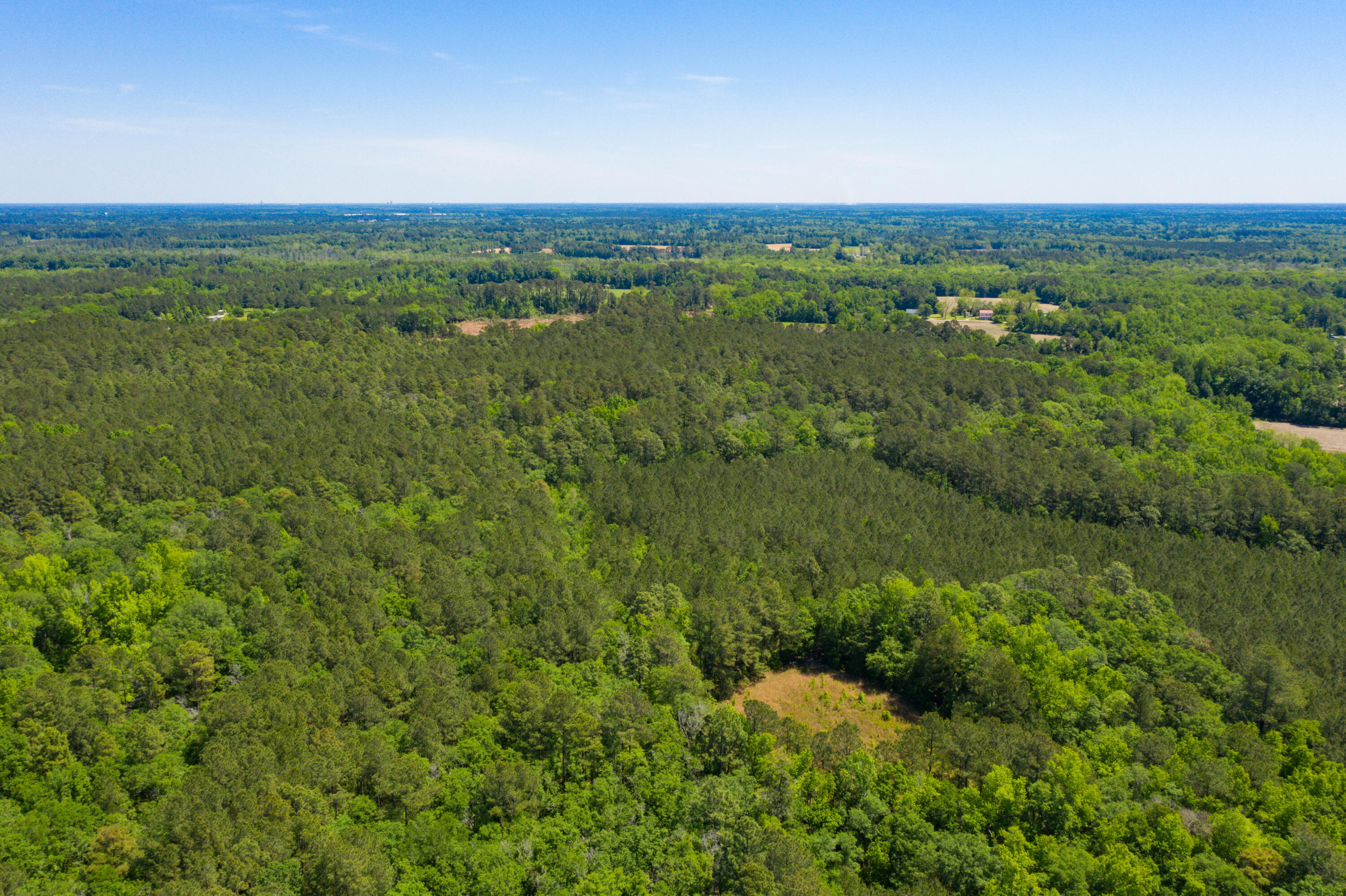 5 Old Spell Road, Unit 5 St. George, SC 29477 - Photo 16 of 27 EYE-9361