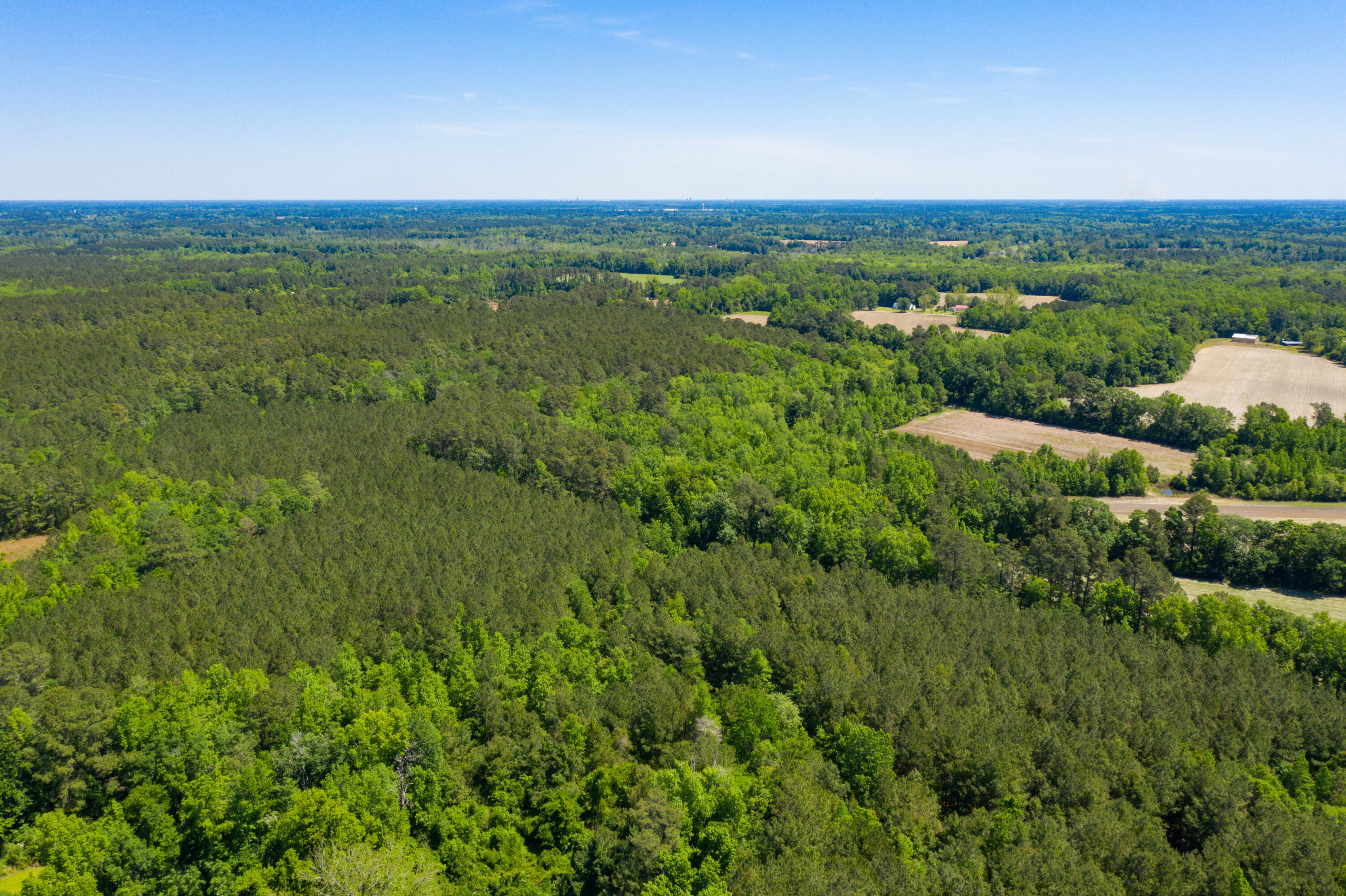 5 Old Spell Road, Unit 5 St. George, SC 29477 - Photo 17 of 27 EYE-9362