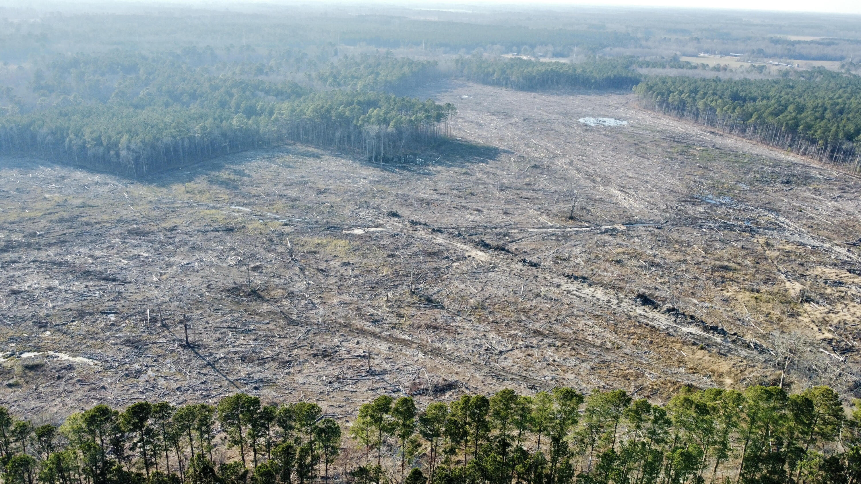 5 Old Spell Road, Unit 5 St. George, SC 29477 - Photo 24 of 27 unnamed (6)