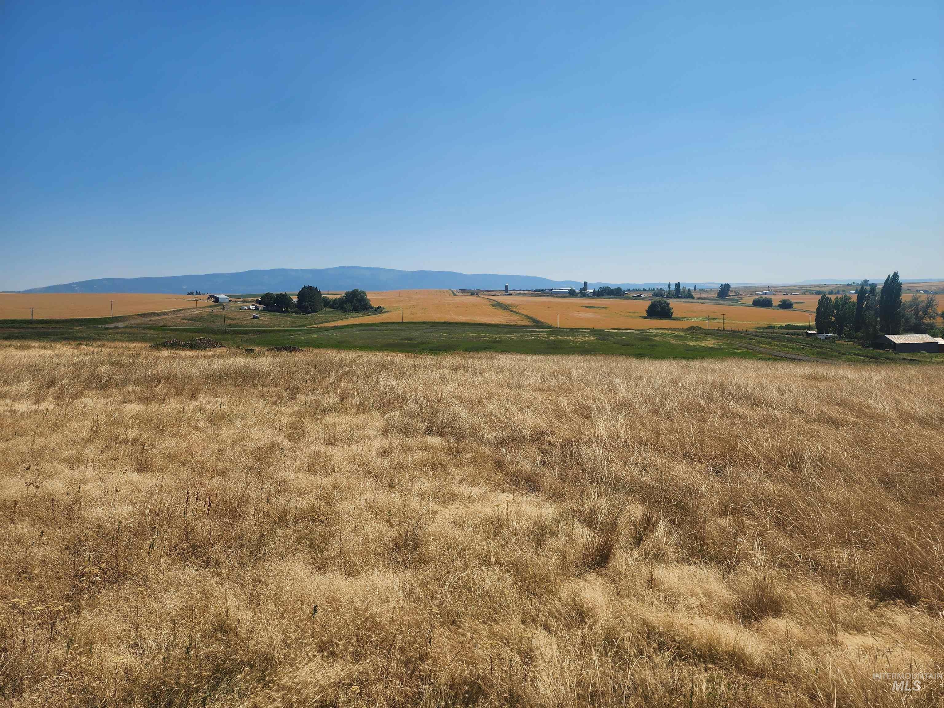 Tbd Jessup Road Grangeville, ID 83530 - Photo 1 of 1 Gallery Image 1