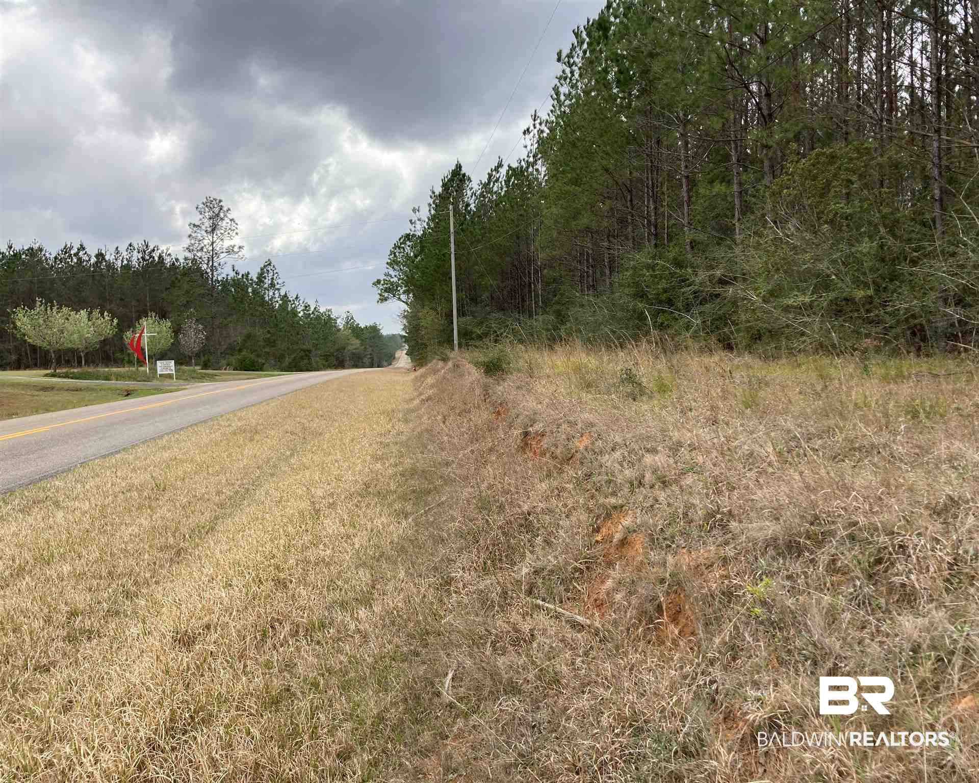 41 New Hope Church Road Robertsdale, AL 36567 - Photo 4 of 5