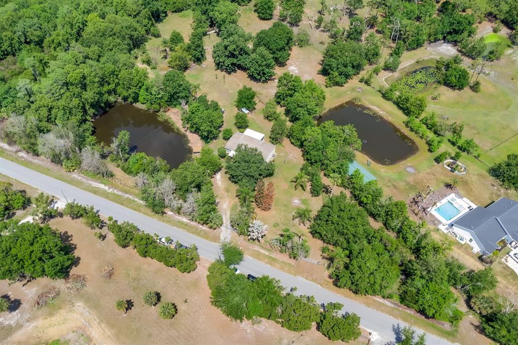 4350 Fanny Bass Road St. Cloud, FL 34772 - Photo 42 of 44