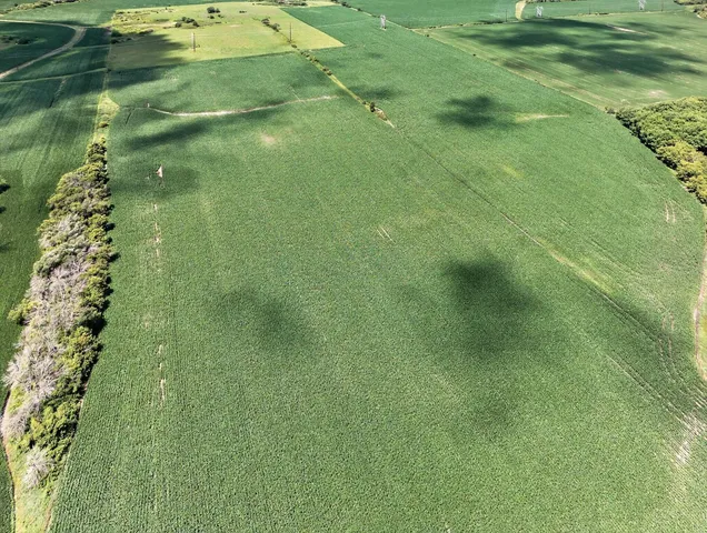 $1,312,840 | 149 County Road 149 Southwest, Hayfield, MN 55940