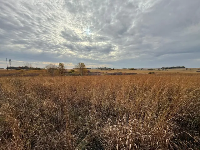 $1,312,840 | 149 County Road 149 Southwest, Hayfield, MN 55940