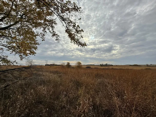 $1,312,840 | 149 County Road 149 Southwest, Hayfield, MN 55940