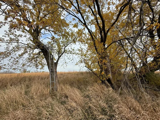 $1,312,840 | 149 County Road 149 Southwest, Hayfield, MN 55940