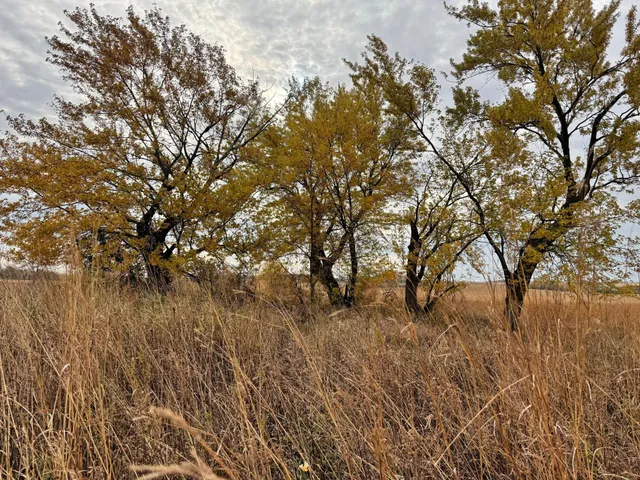 $1,312,840 | 149 County Road 149 Southwest, Hayfield, MN 55940