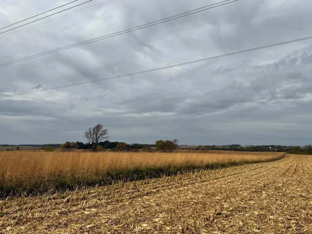 $1,312,840 | 149 County Road 149 Southwest, Hayfield, MN 55940