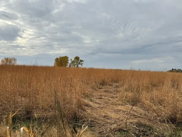 $1,312,840 | 149 County Road 149 Southwest, Hayfield, MN 55940