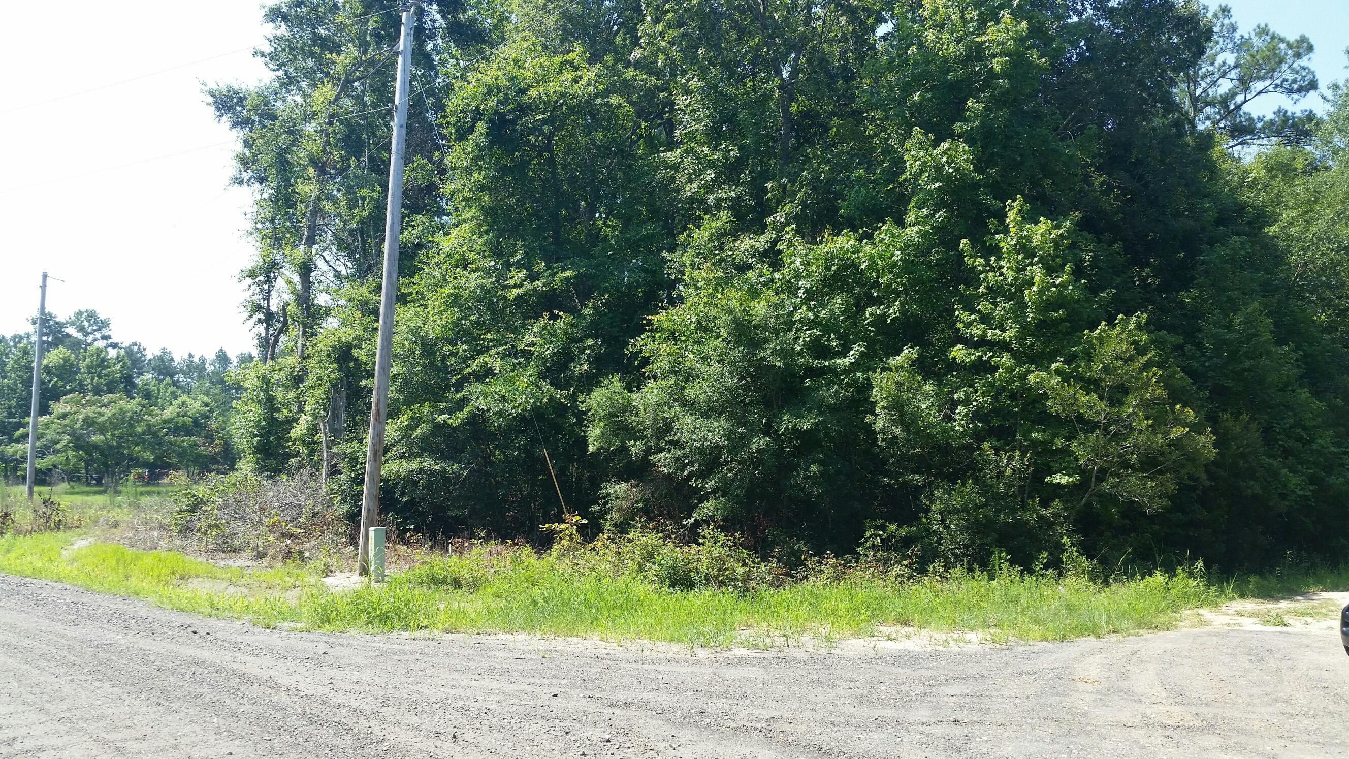 0 Geechie Club Road Cottageville, SC 29435 - Photo 5 of 5 gc4