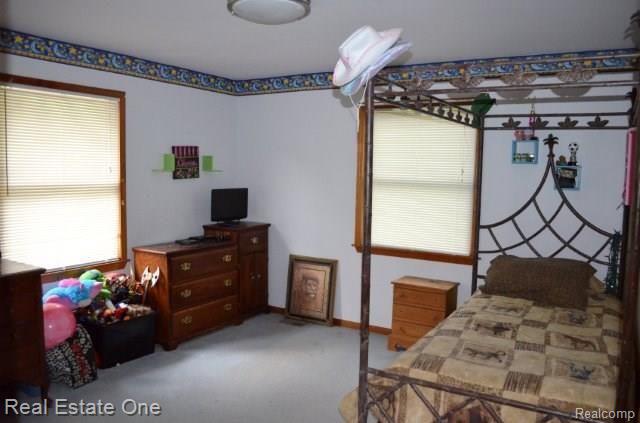 3405 Swarthout Road Pinckney, MI 48169 - Photo 24 of 34 misc 5-23-17 052.jpg