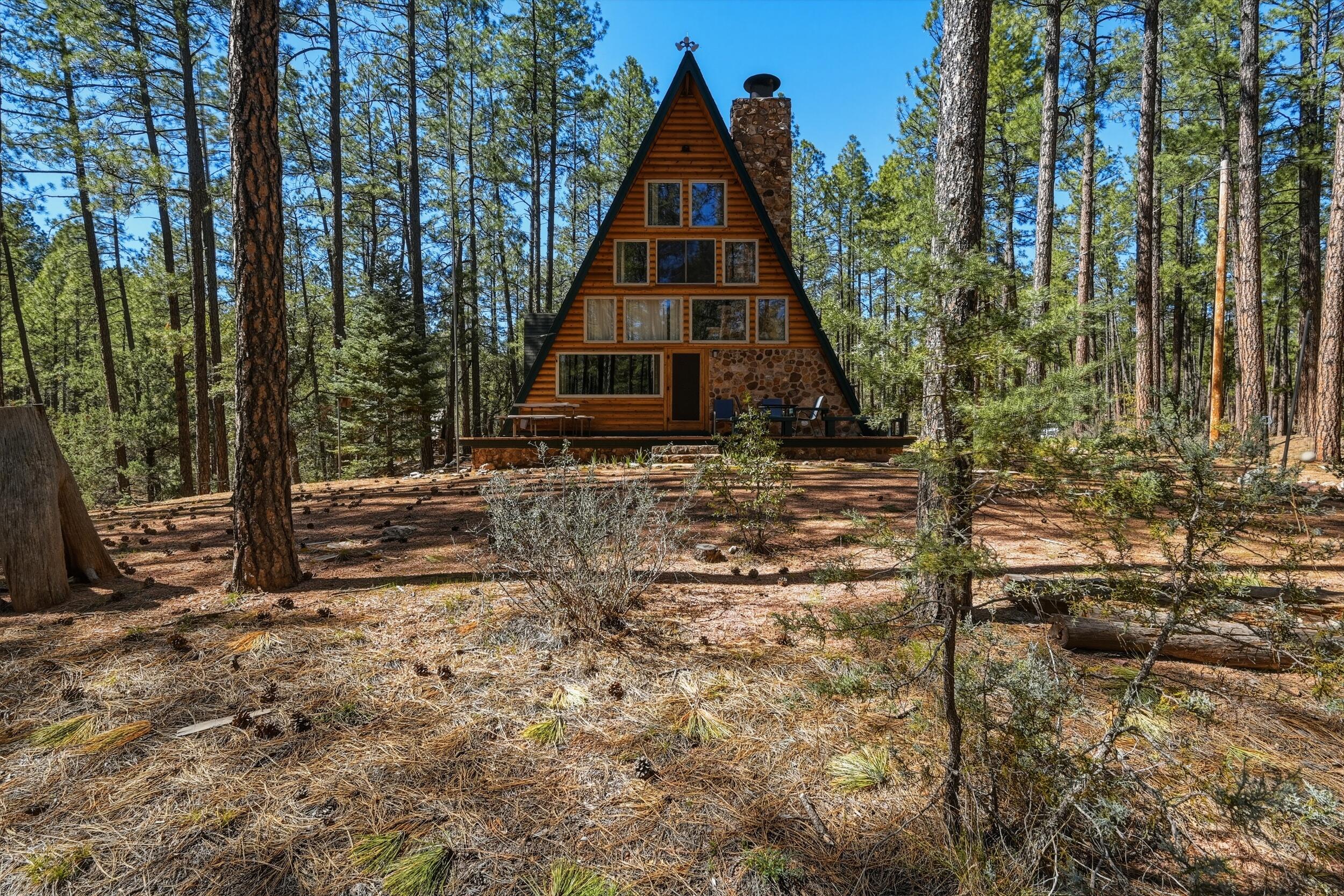 183 West Raven Road Payson, AZ 85541 - Photo 4 of 70 4_nkn_7074