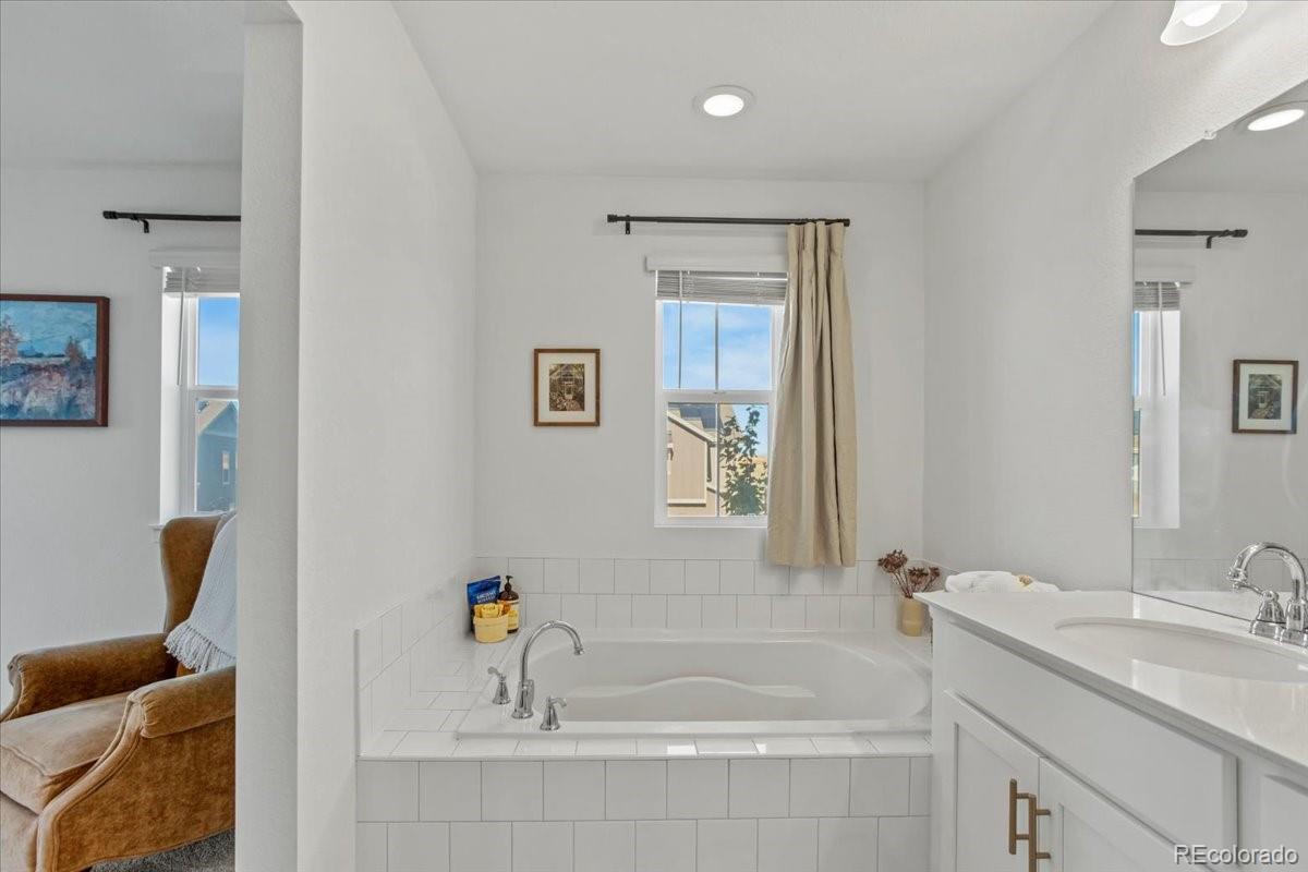 9790 Mount Kataka Point Littleton, CO 80125 - Photo 18 of 32 a bathroom with a tub sink and mirror