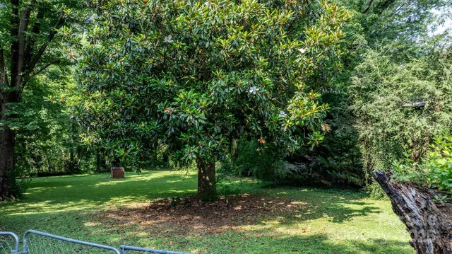 a view of backyard with cabin