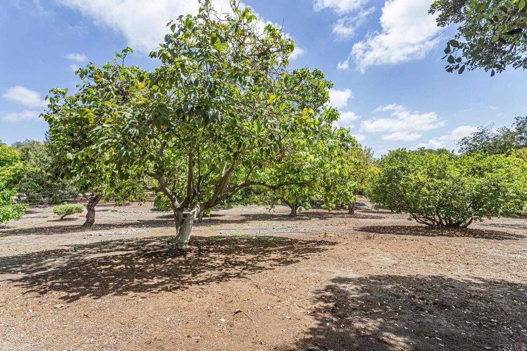 0 Via De Fortuna Rancho Santa Fe, CA 92067 - Photo 4 of 15