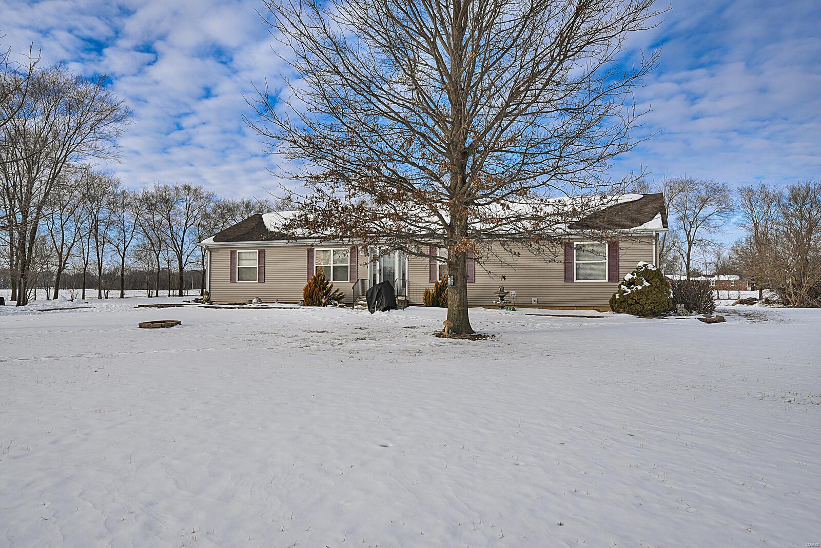 10751 Libbra Road New Douglas, IL 62074 - Photo 3 of 32