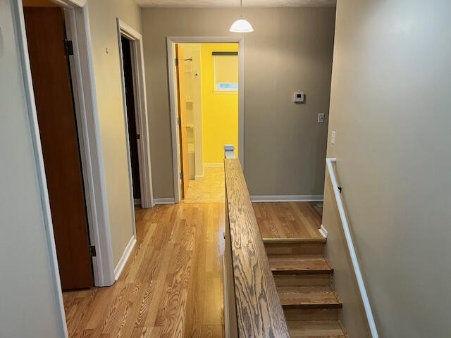 9458 Johnson Road Kaleva, MI 49645 - Photo 19 of 41 IMG_7858