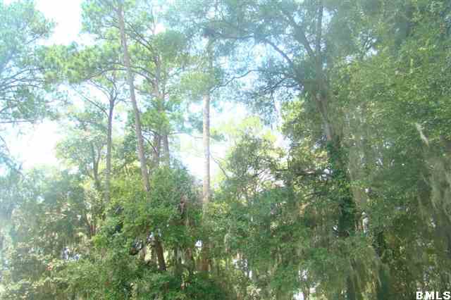 0 Pine Forrest Loop Ridgeland, SC 29936 - Photo 1 of 9 Primary Photo