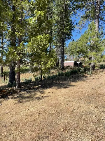 a view of a yard with trees