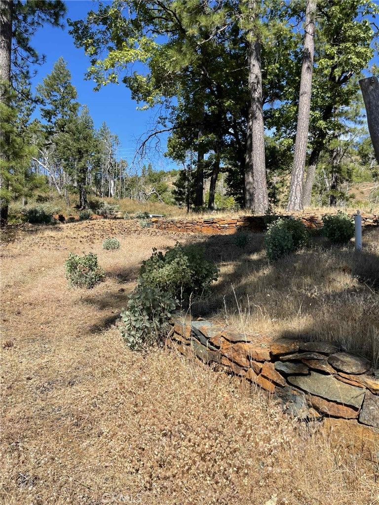12269 Andy Mountain Road Oroville, CA 95965 - Photo 7 of 11 a view of a tree with a yard
