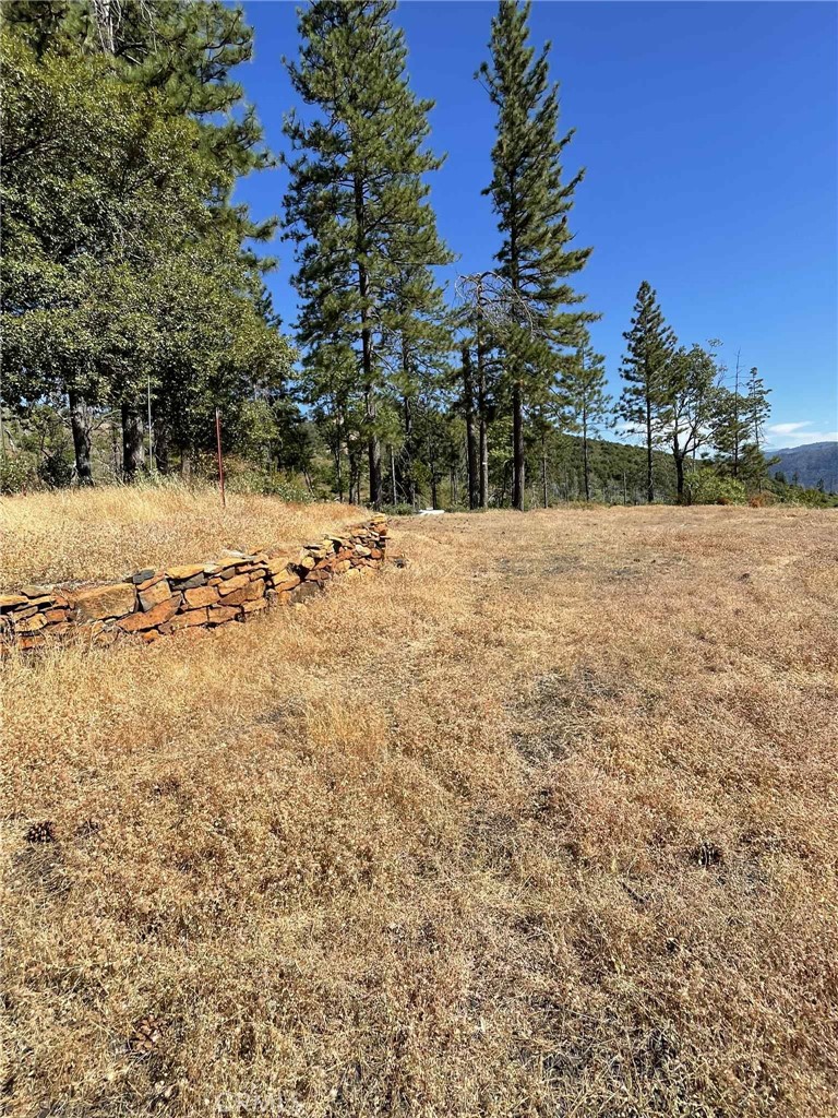 12269 Andy Mountain Road Oroville, CA 95965 - Photo 8 of 11