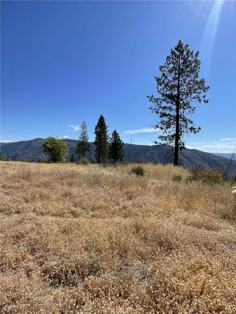 12269 Andy Mountain Road Oroville, CA 95965 - Photo 9 of 11 a view of a lake