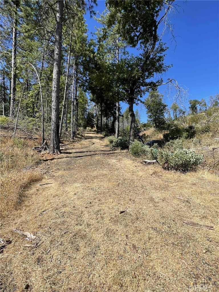 12269 Andy Mountain Road Oroville, CA 95965 - Photo 10 of 11 a backyard of a house with lots of green space