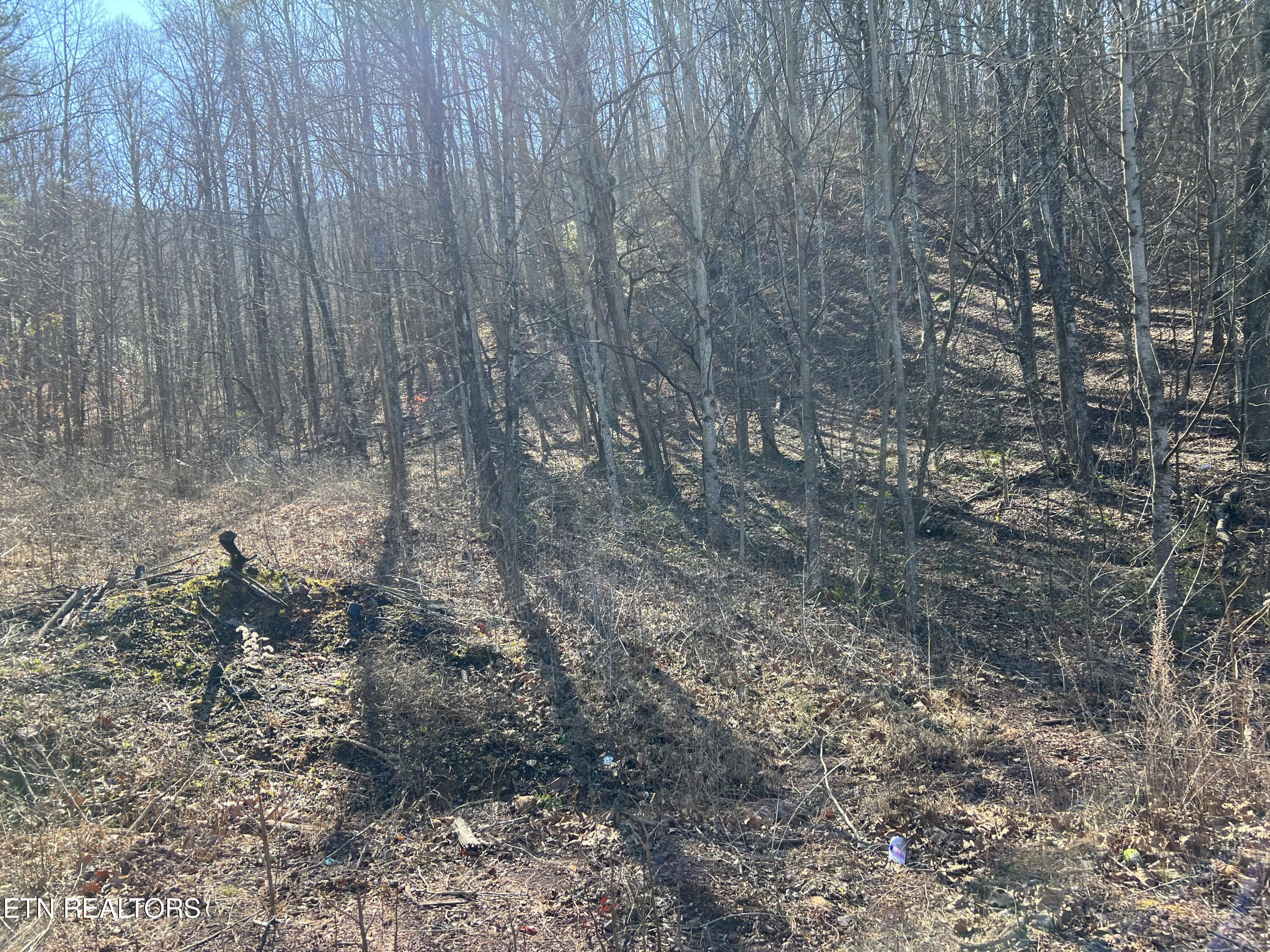 1441 Blue Springs Way Newport, TN 37821 - Photo 2 of 4 IMG_5173