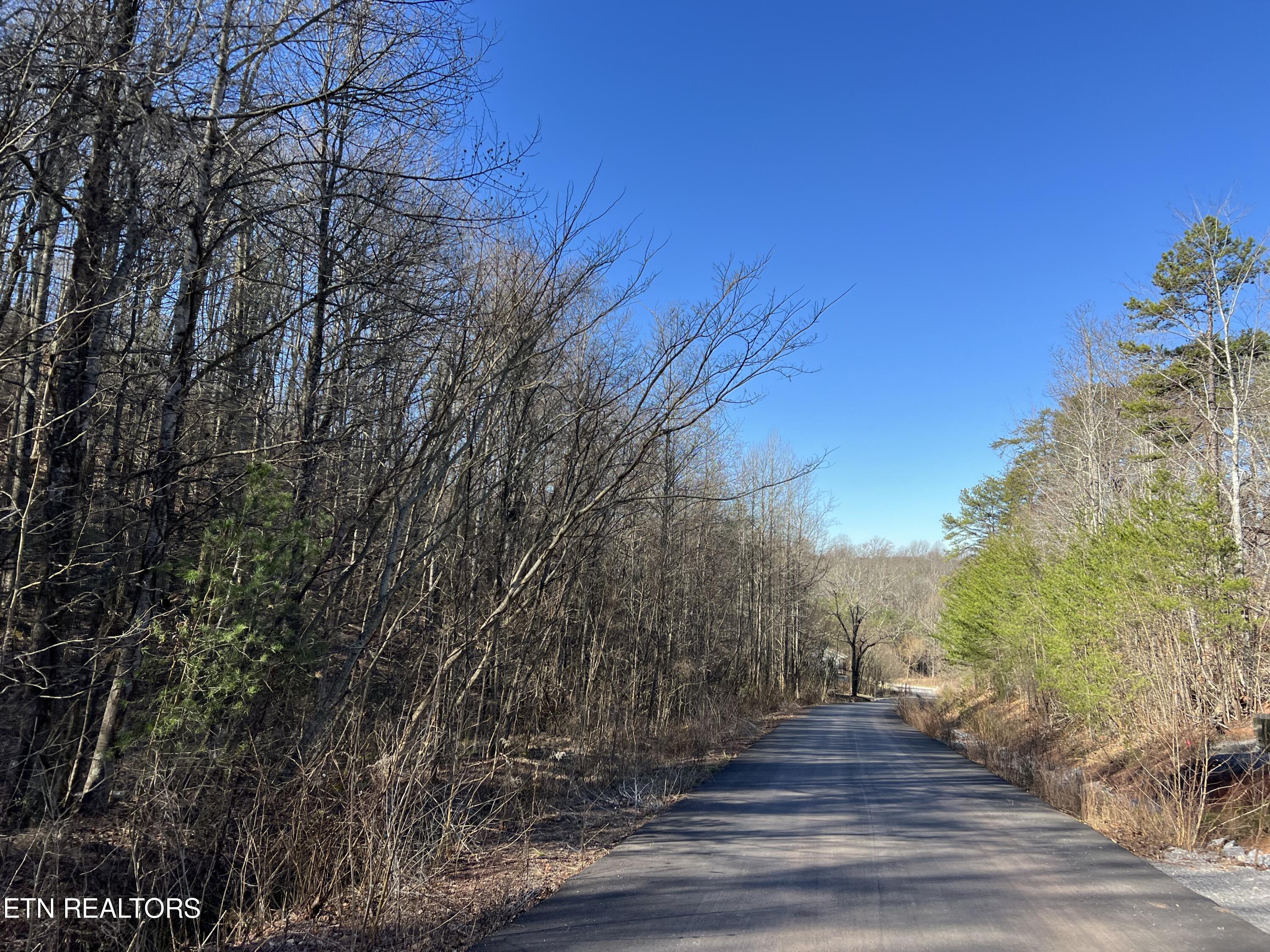 1441 Blue Springs Way Newport, TN 37821 - Photo 3 of 4 IMG_5175