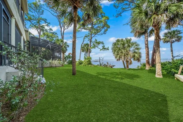 a view of a yard with a palm trees