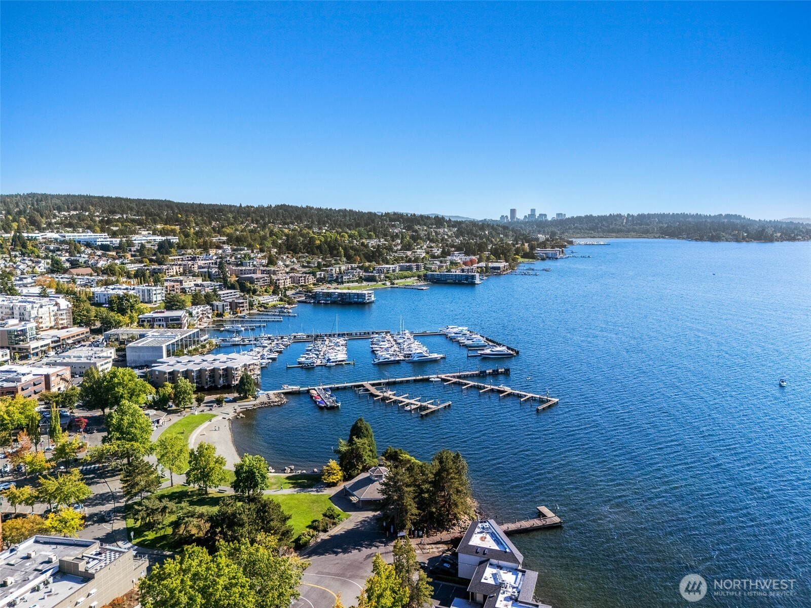65 Kirkland Avenue, Unit 201 Kirkland, WA 98033 - Photo 34 of 35 a view of a city with ocean view
