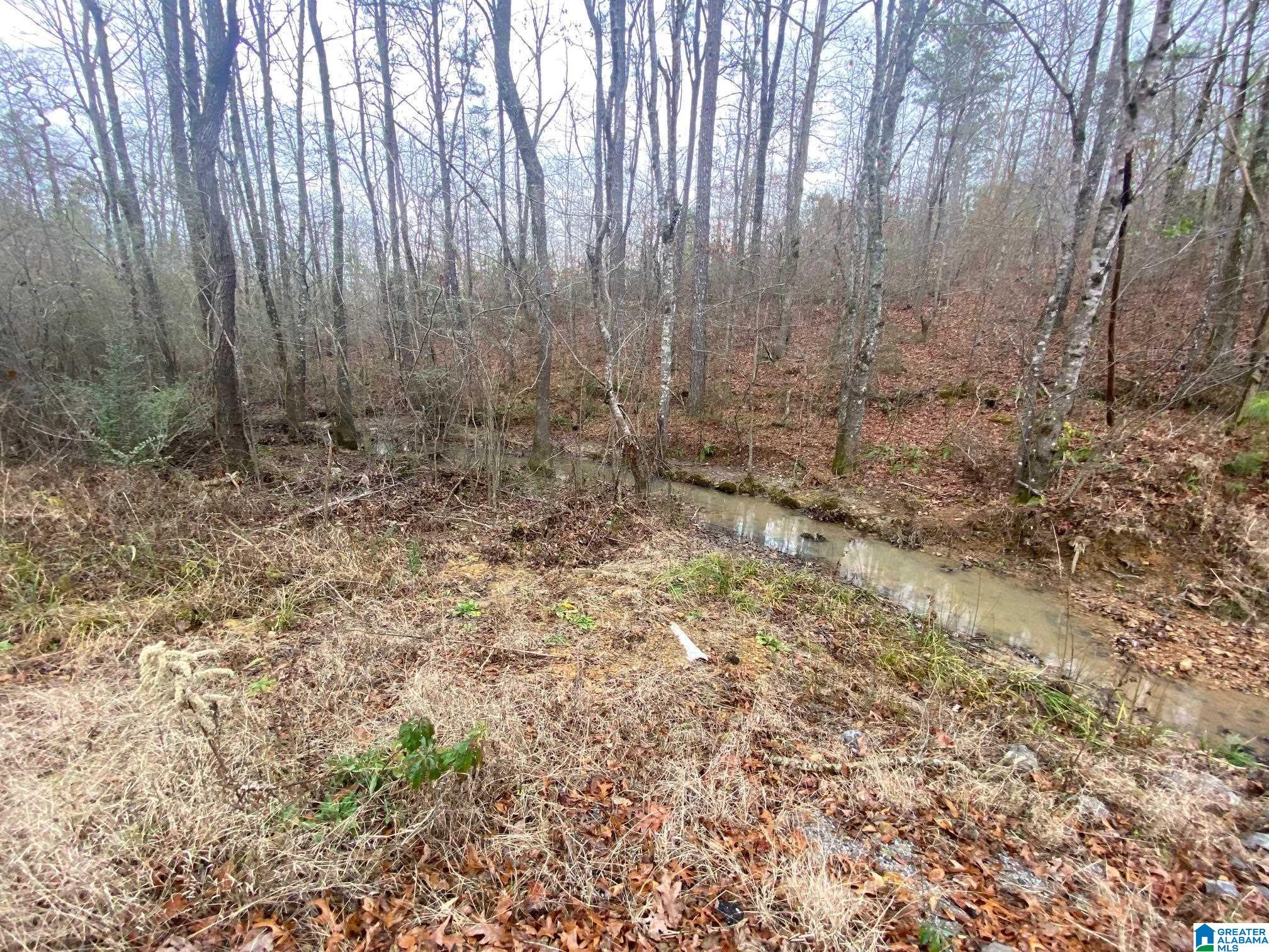 Wildwood Road, Unit 4 99 Pell City, AL 35125 - Photo 3 of 5
