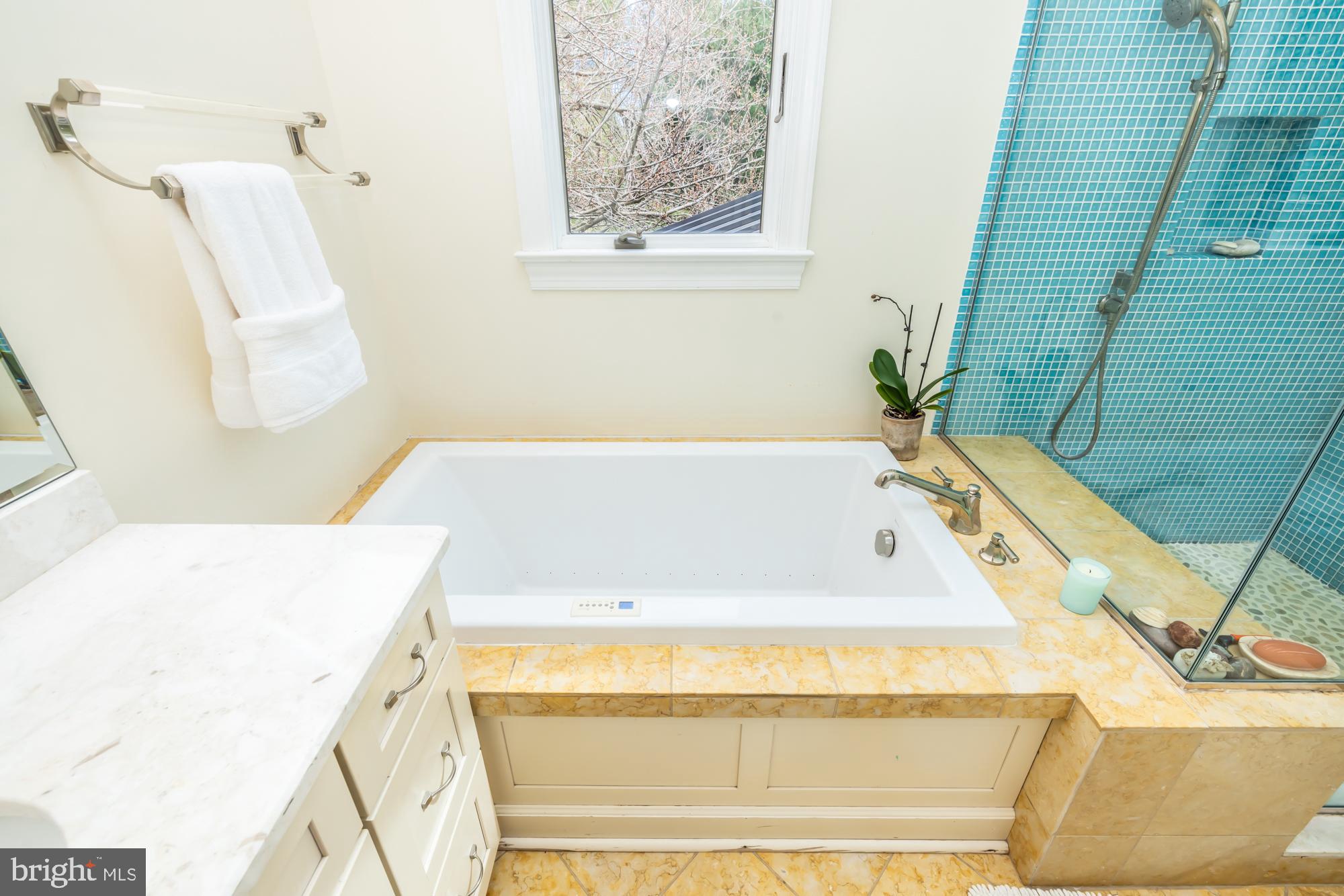 848 Pheasant Run Road West Chester, PA 19382 - Photo 26 of 51 Jetted Tub