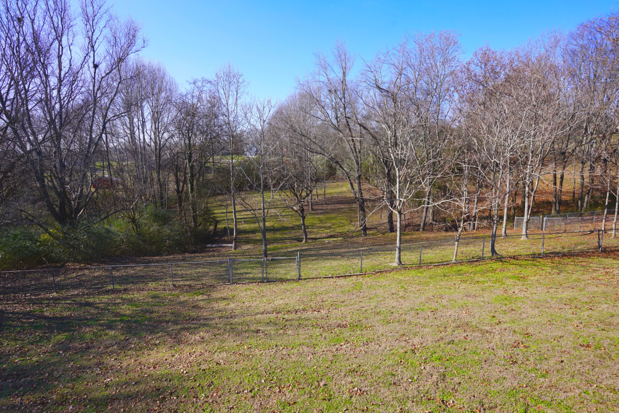 1168 West Grab Creek Road Dickson, TN 37055 - Photo 34 of 37 a view of a yard with trees