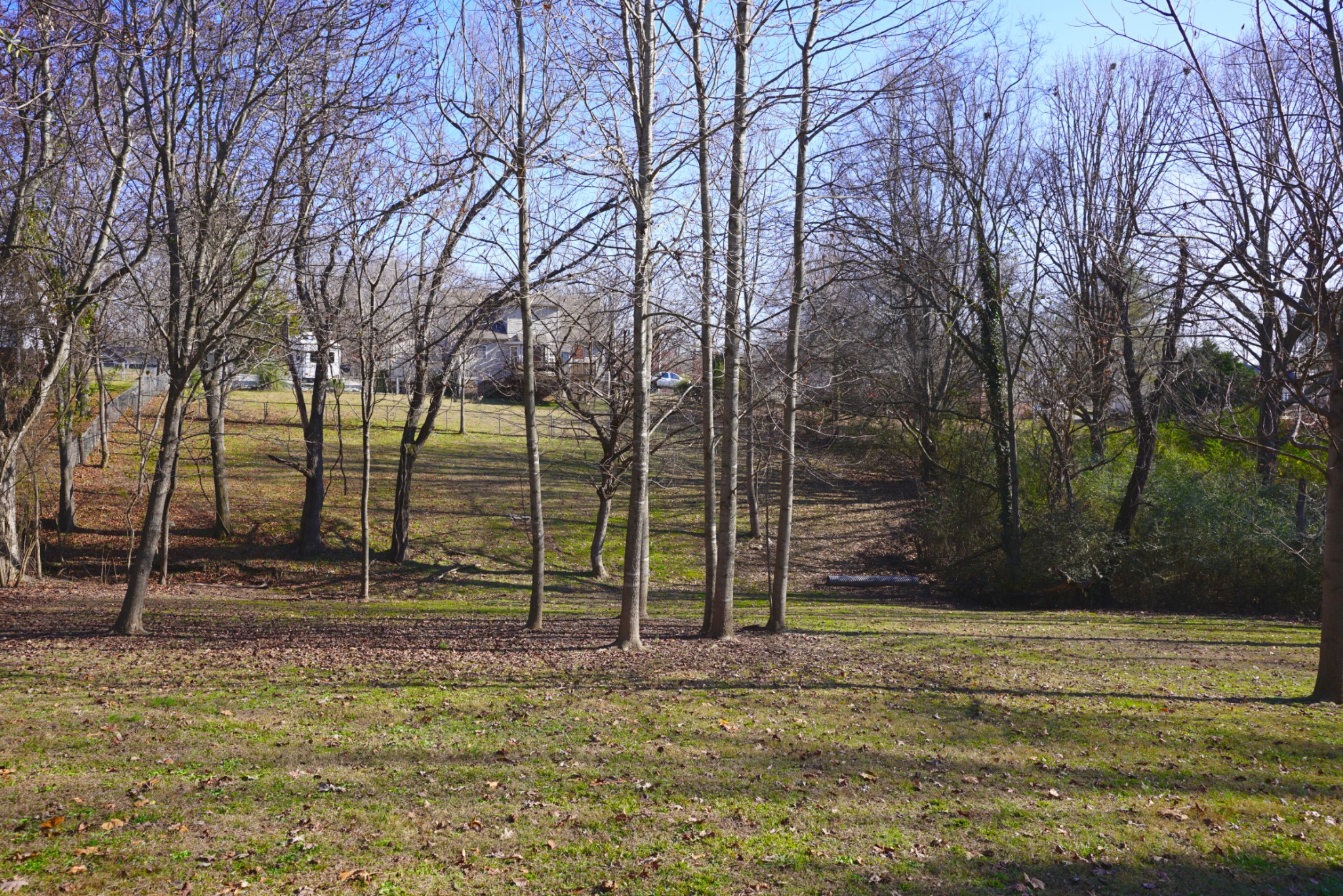 1168 West Grab Creek Road Dickson, TN 37055 - Photo 5 of 37 a backyard of a house with lots of tall trees