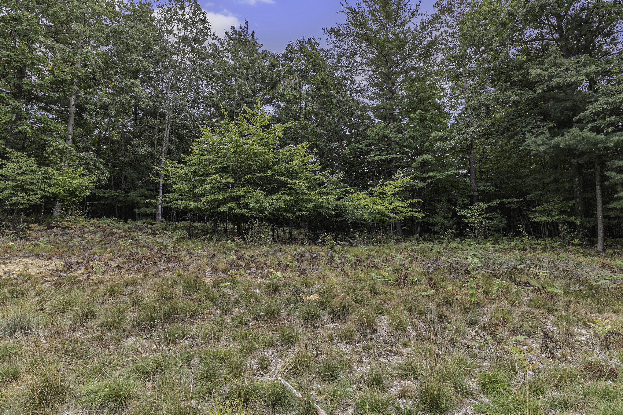 Lot 16 Pine Street Mears, MI 49436 - Photo 13 of 30 009_625a6834