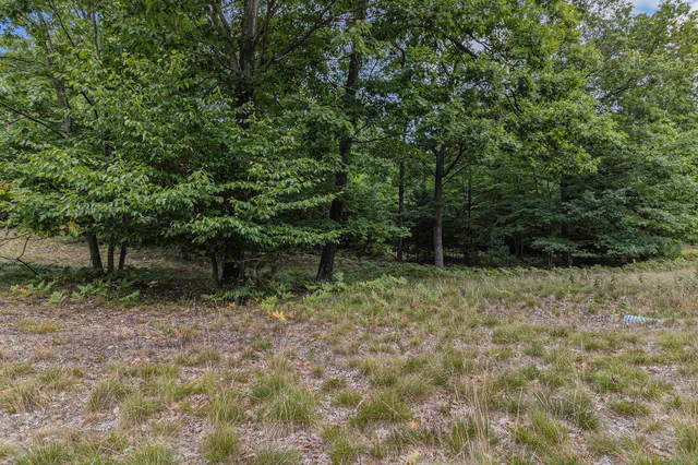 $44,900 | Lot 16 Pine Street, Mears, MI 49436