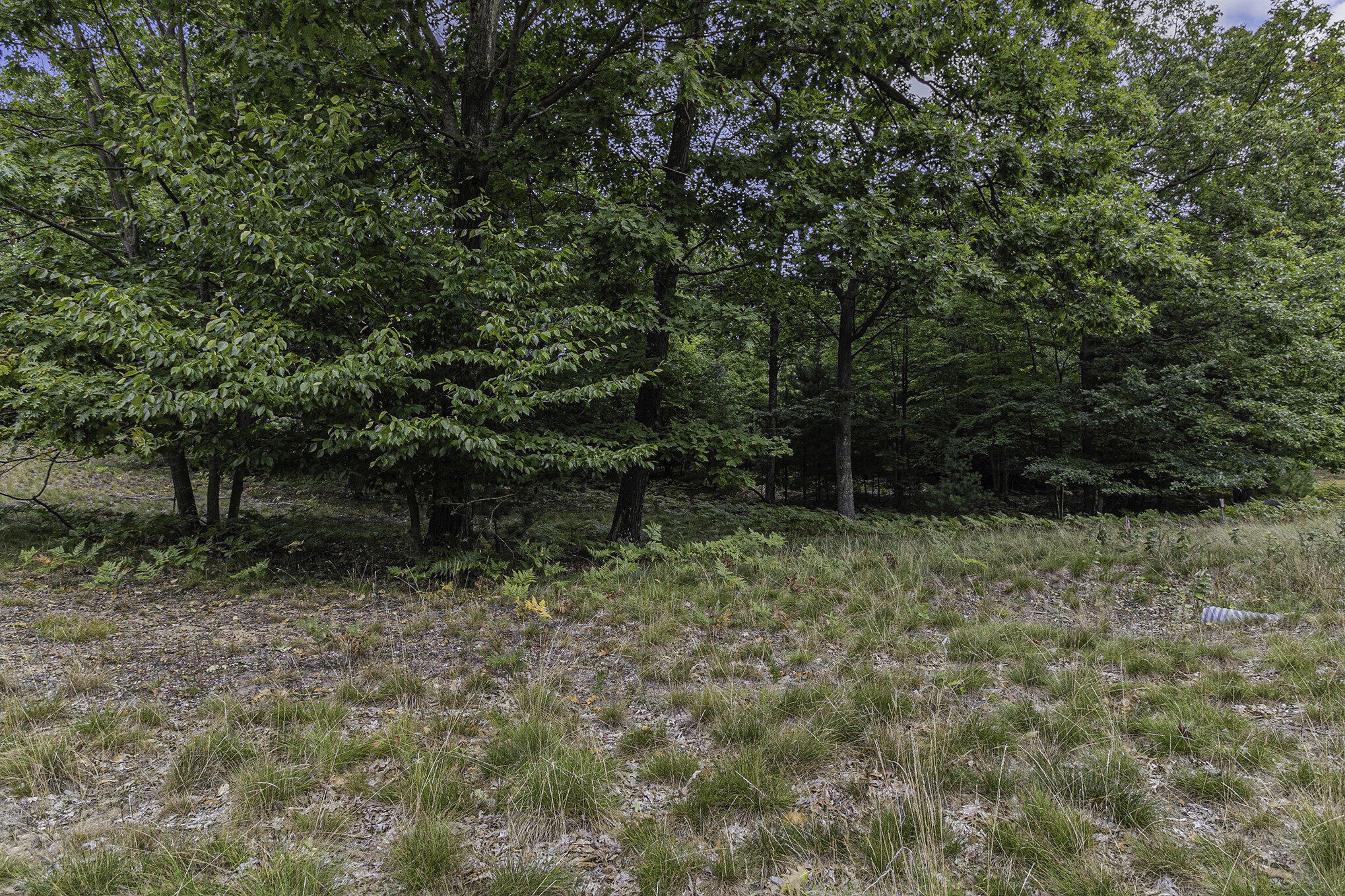 Lot 16 Pine Street Mears, MI 49436 - Photo 15 of 30 013_625a6838