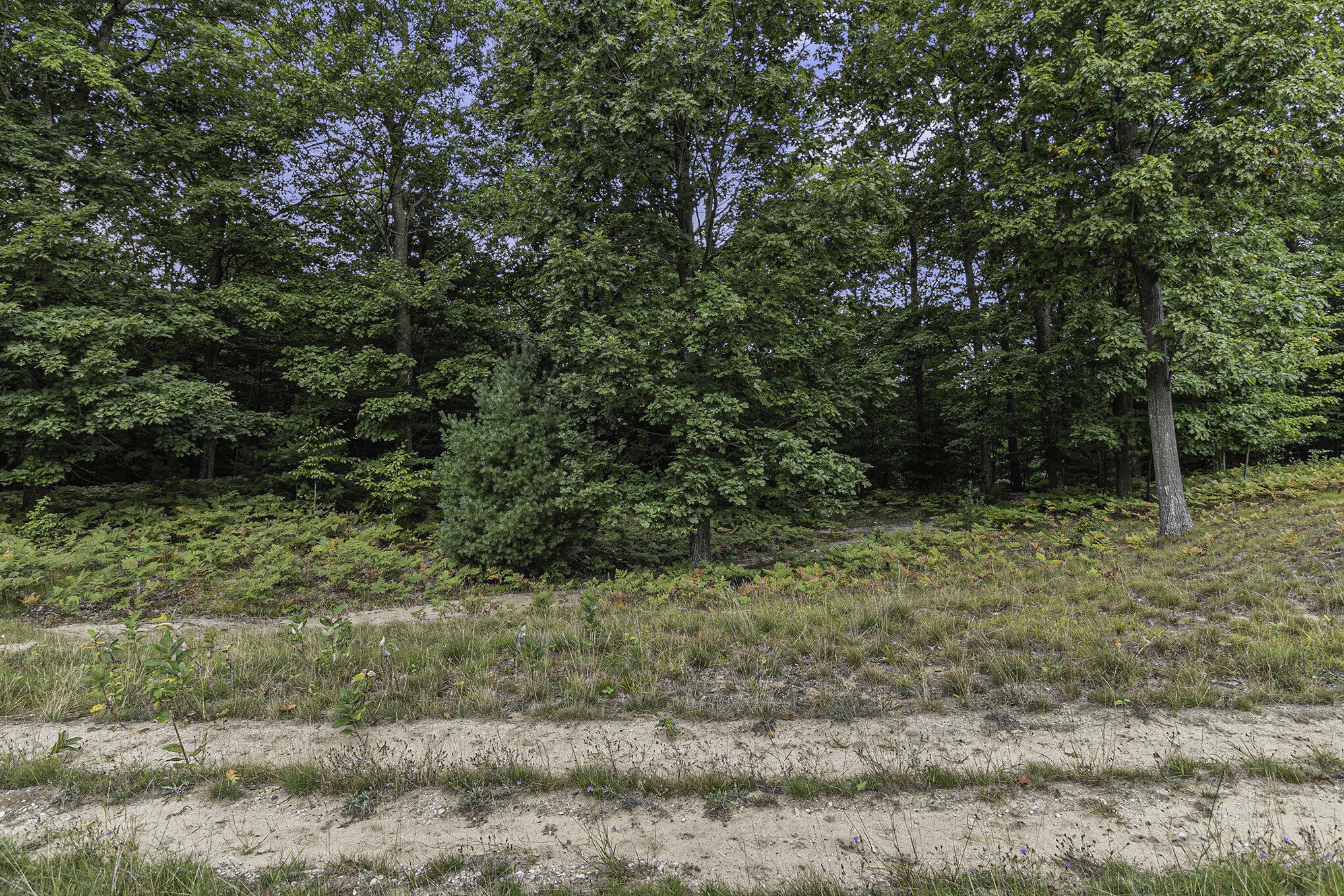 Lot 16 Pine Street Mears, MI 49436 - Photo 17 of 30 015_625a6840