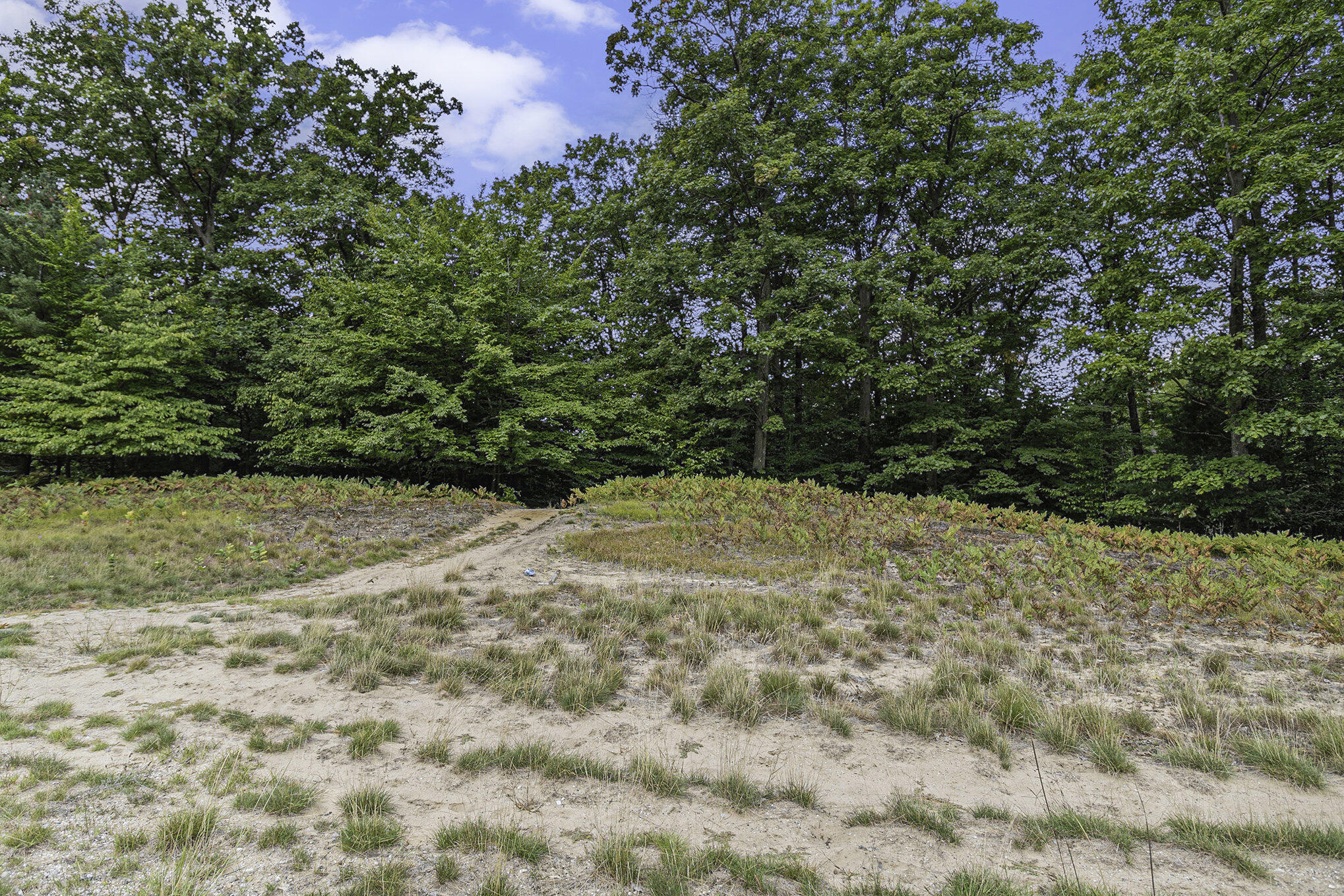 Lot 16 Pine Street Mears, MI 49436 - Photo 18 of 30 016_625a6841