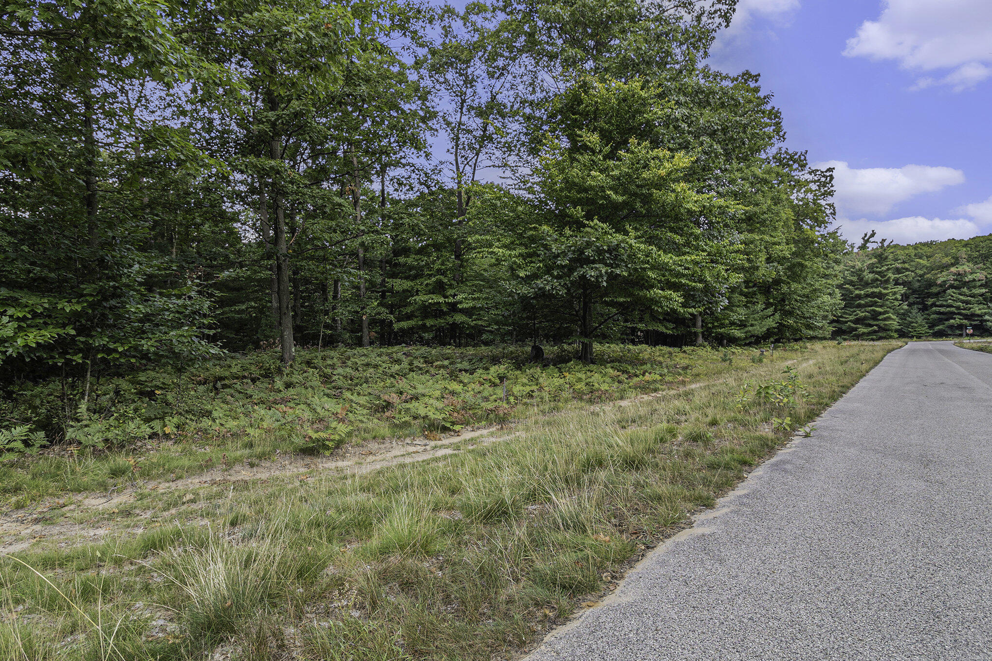 Lot 16 Pine Street Mears, MI 49436 - Photo 20 of 30 018_625a6843