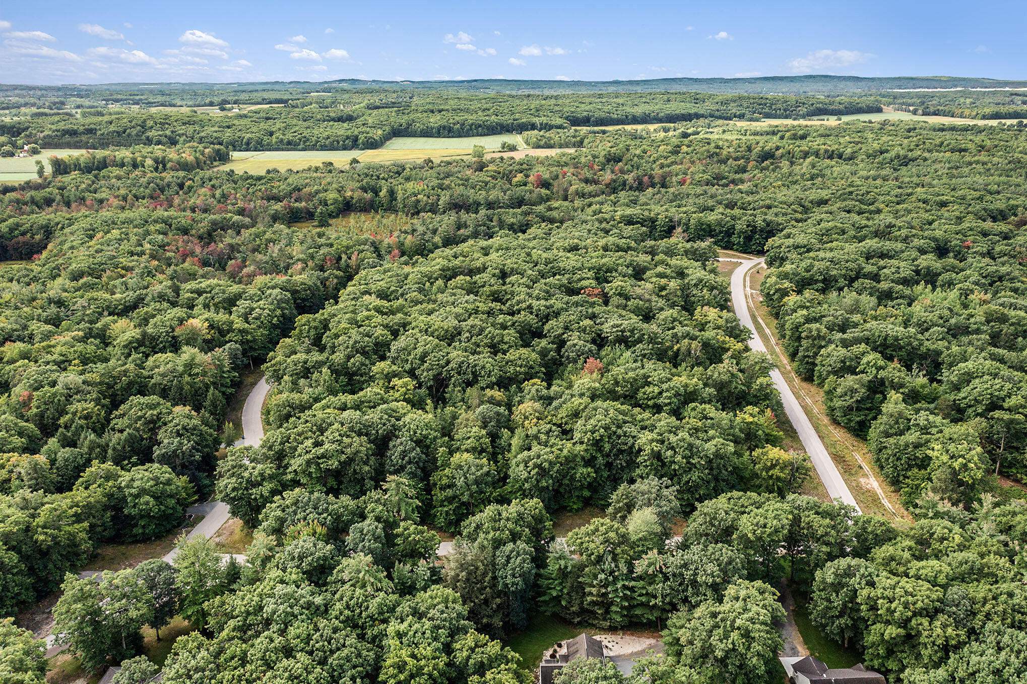 Lot 16 Pine Street Mears, MI 49436 - Photo 2 of 30 00001 (2)