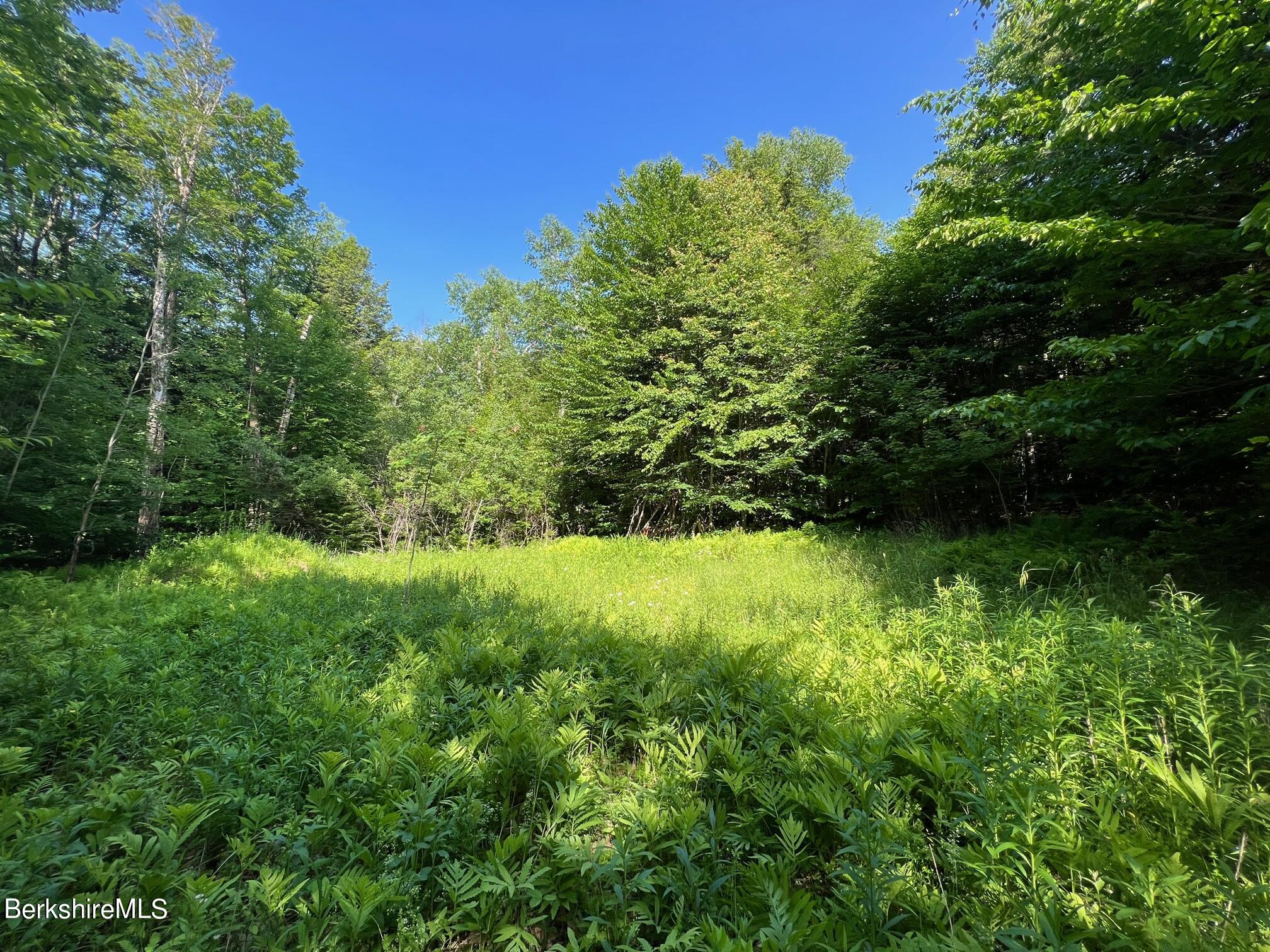 20 Strong Road Peru, MA 01235 - Photo 1 of 7 a view of outdoor space and yard