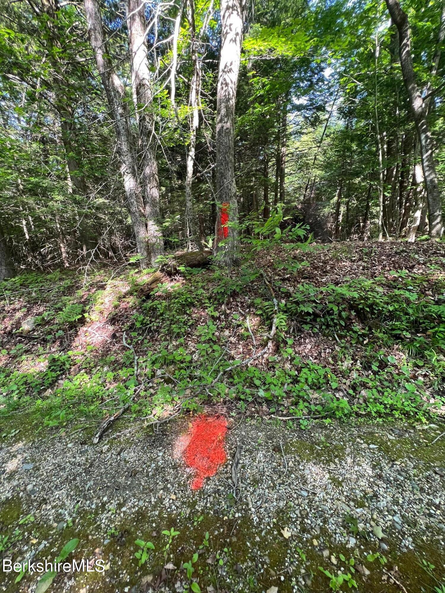 20 Strong Road Peru, MA 01235 - Photo 5 of 7 a garden view